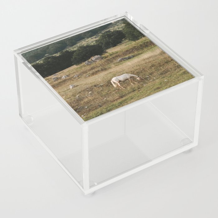 Horse | Nature and Landscape Photography Acrylic Box