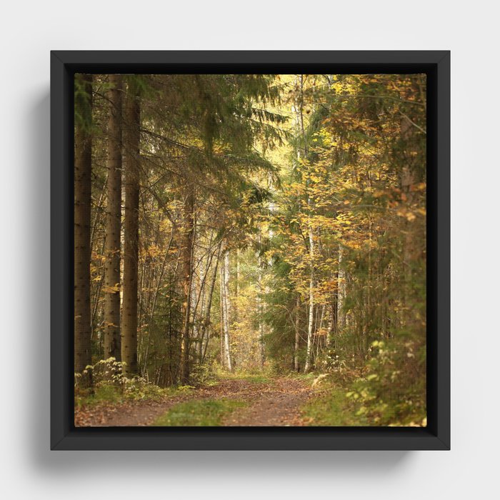 Framed Canvas