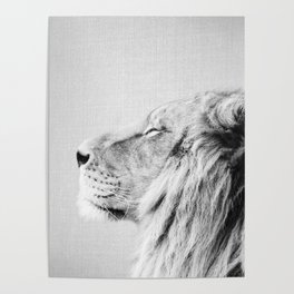 Lion Portrait - Black & White Poster