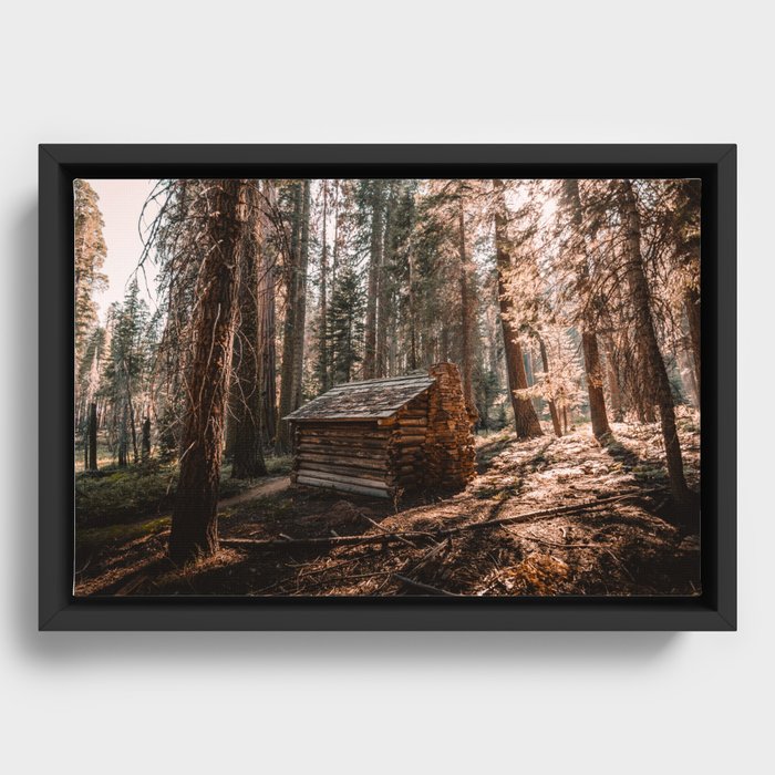 Framed Canvas