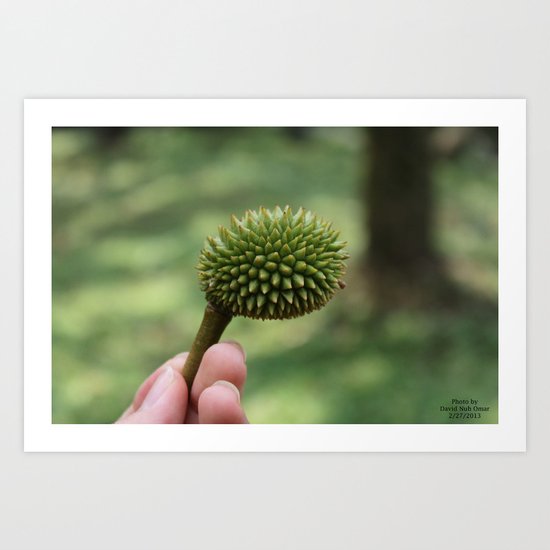 BABY DURIAN Art Print