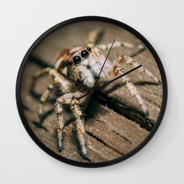 Don't Step on a Crack! Macro Jumping Spider Photograph Wall Clock
