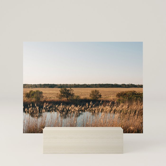 Mini Art Print
