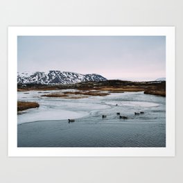 Ducks swimming in a half-frozen lake in front of an ice-capped mountain range in Iceland. Art Print