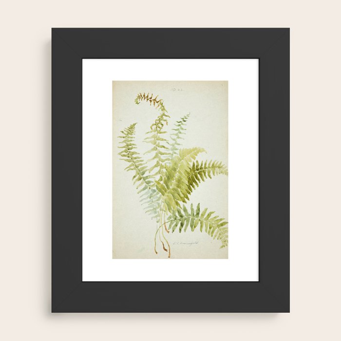Framed Art Print