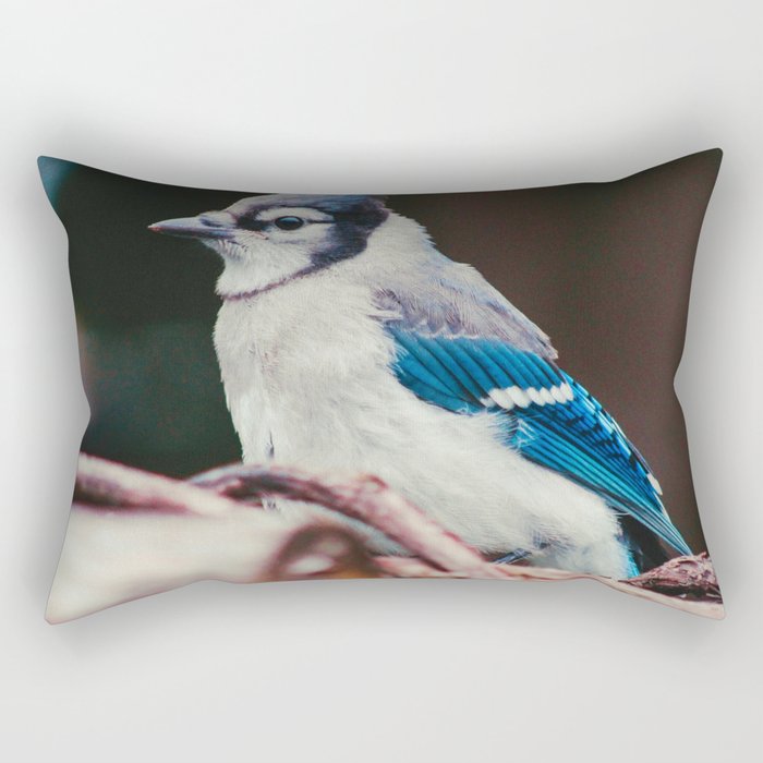 Blue Jay (Color) Rectangular Pillow