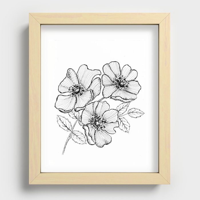 Dog Rose Wild Irish Rose Recessed Framed Print