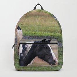 Gypsy Vanner Horses 0096 - Colorado Backpack | Animal, Animal Photography, Equine, Horse Art, Horse, Domestic Animal, Equine Art, Domestic Horse, Gypsyvanner, Chevaux 