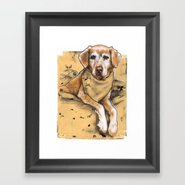 Daily dogs: three of three Framed Art Print