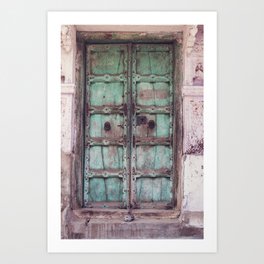 Doors Of India 3 Art Print