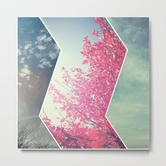 Sky and Leaves Metal Print