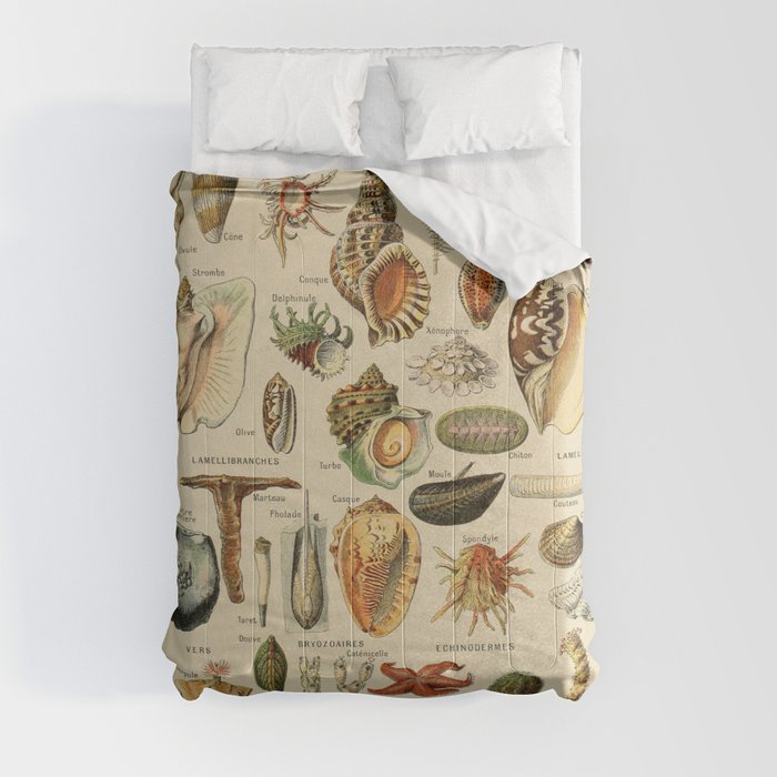 Vintage sealife and seashell illustration Comforter
