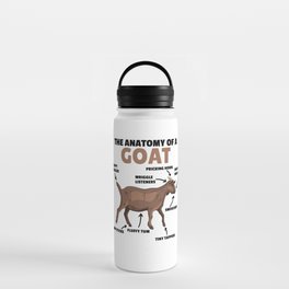 Anatomy Of A Goat Cute Goats Explanation Water Bottle