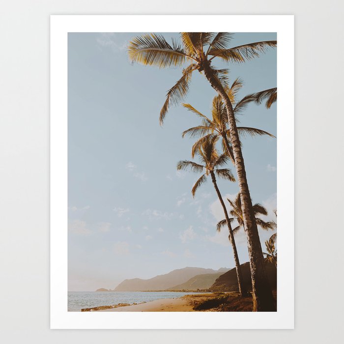 palm trees xxviii / hawaii Art Print
