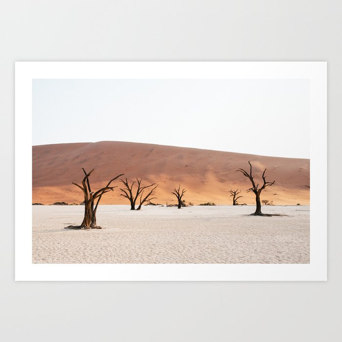 Deadvlei at sunset | Namibia landscape travel photography Art Print