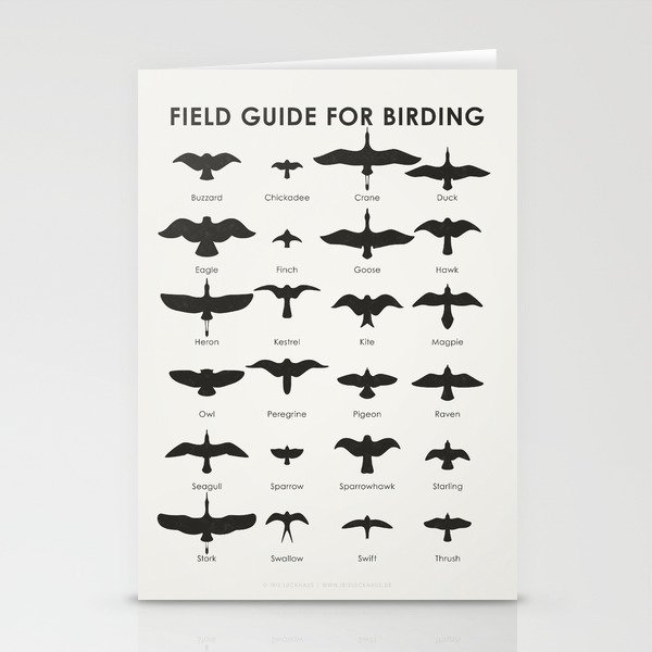 Field Guide for Birding Identification Chart Stationery Cards