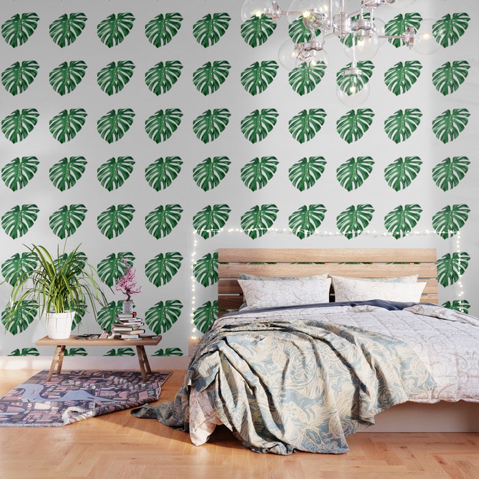 Monstera split leaf isolated green on white Wallpaper