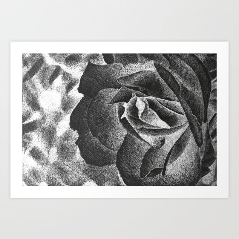 Fragrant Rose Drawing With Delicate Rose Petals Art Print By Oanaunciuleanu Society6