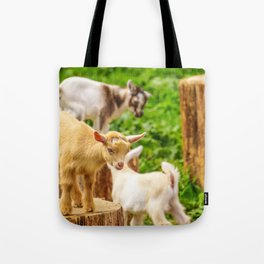 Baby Goats Playing Tote Bag