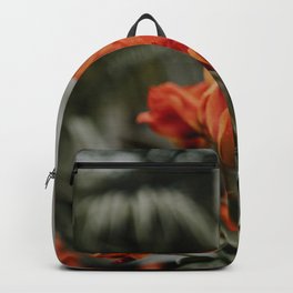Orange Tulips in Amsterdam | Fine art print spring flowers Backpack | Orangetulips, Tulipsamsterdam, Holland, Spring, Tulip, Color, Clock, Boldcolors, Pillow, Verticalprint 