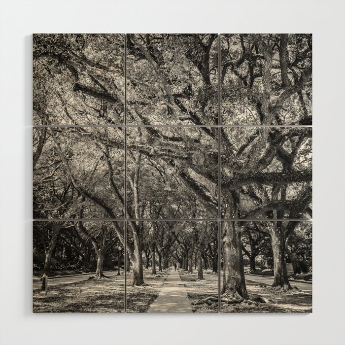 houston under snow Wood Wall Art