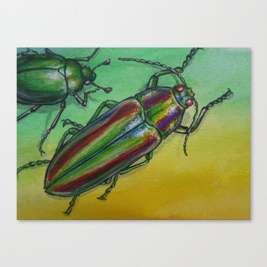 Shinny Beetle Canvas Print