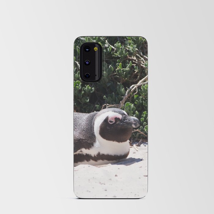 South Africa Photography - Penguin Laying At The Beach Android Card Case