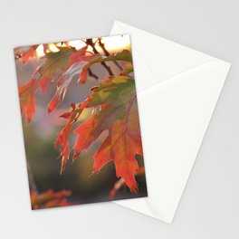 maple leaf 06 - autumn golden hour Stationery Card