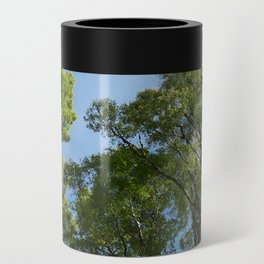  Scottish Highlands Spring Birch Tree Sky View Can Cooler
