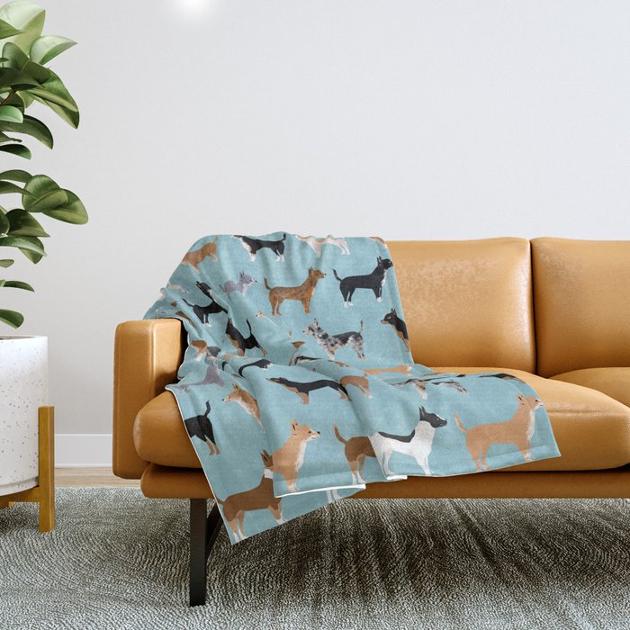 Chihuahua deals throw blanket