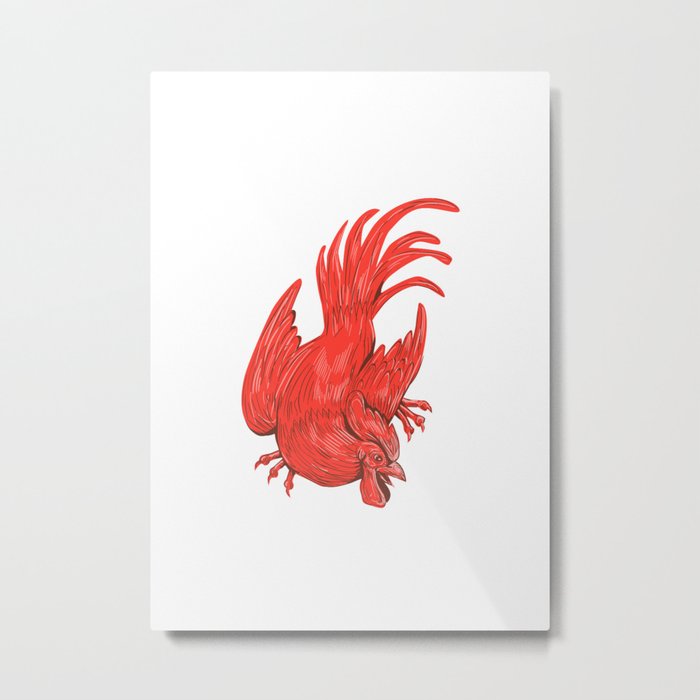 Chicken Rooster Crouching Drawing Metal Print