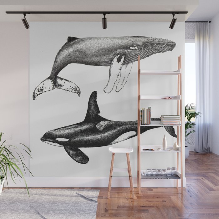 Orca killer whale and humpback whale Wall Mural
