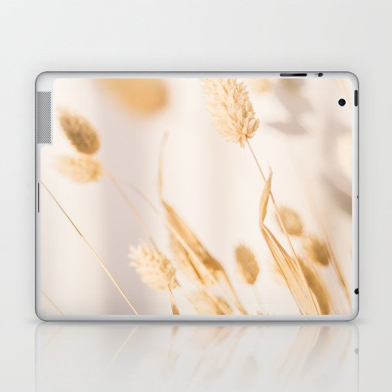 Dries Grass in Beige and White Neutral Colors - Reed Canary Phalaris Grass - Light Chic Photography Laptop & iPad Skin