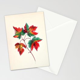 Red maple by Clarissa Munger Badger, 1859 (benefitting The Nature Conservancy) Stationery Card