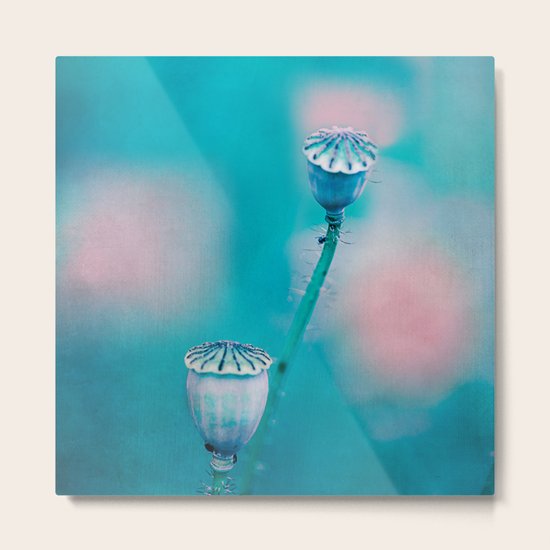 POPPY SEEDS Metal Print