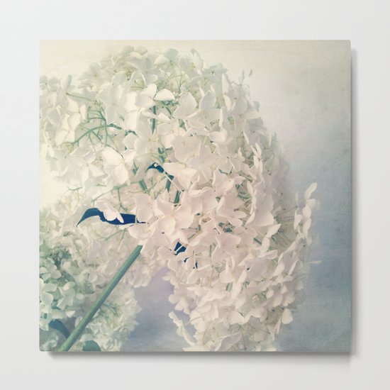 Romantic Hydrangea Metal Print