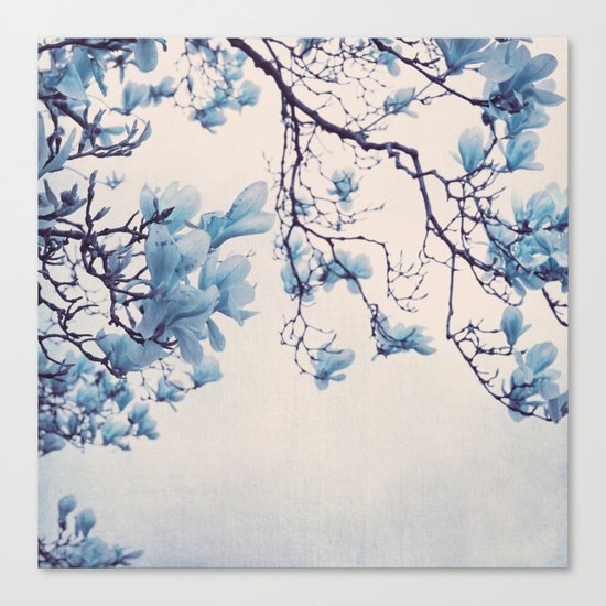 blue friday Canvas Print