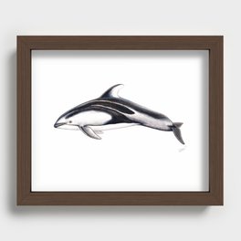 Pacific white-sided dolphin Recessed Framed Print