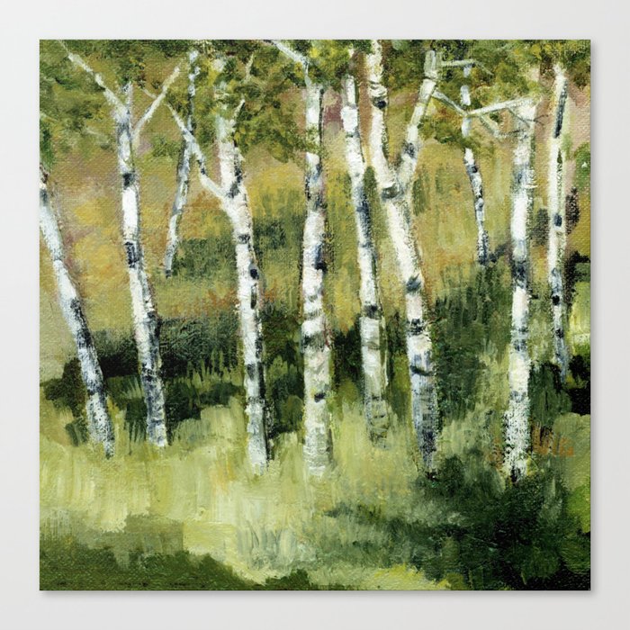 Birches in the Dunes Canvas Print