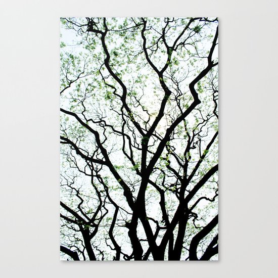 Majestic Roots Canvas Print