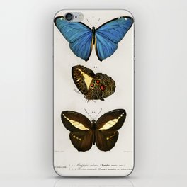 Different Types of Butterfly iPhone Skin