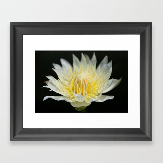 black on white Framed Art Print