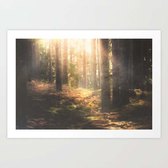 When rainbows sleep Art Print