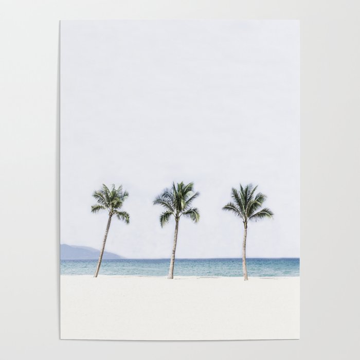 Palm trees 6 Poster