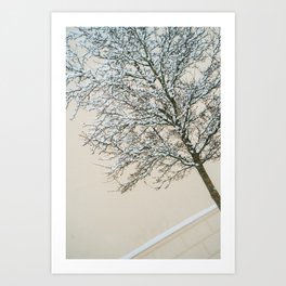 Snow white tree in winter | Utrecht city traveling | minimalism and graphic fine art photography Art Print