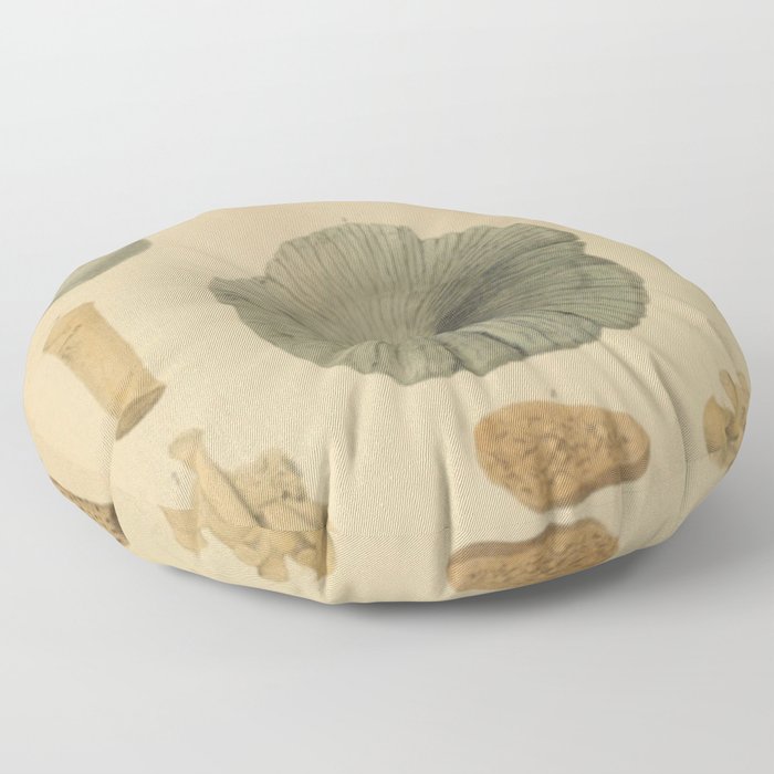Coral Fossils Floor Pillow