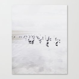 SEABIRDS Canvas Print