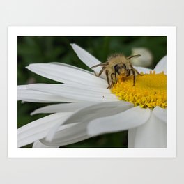 Busy As A Bee: Messy Eater Art Print
