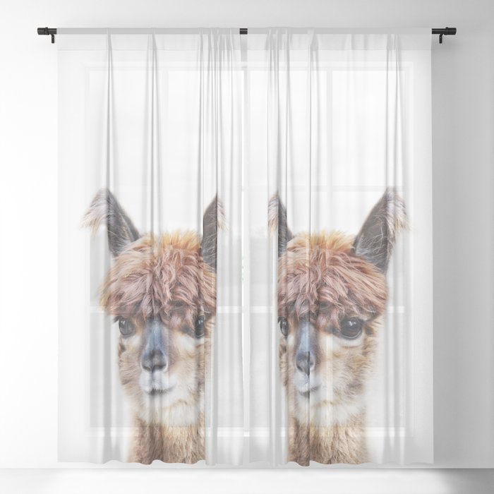 Baby Alpaca, Brown Alpaca, Farm Animals, Art for Kids, Baby Animals Art Print By Synplus Sheer Curtain