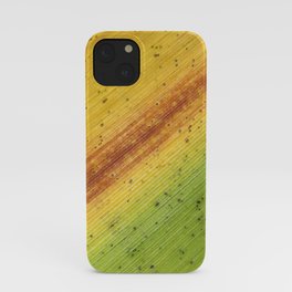 Tropical Textures #3 iPhone Case